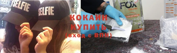 индика Арсеньев