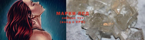 индика Арсеньев