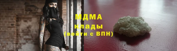 индика Арсеньев