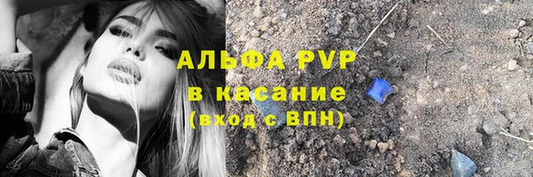 индика Арсеньев