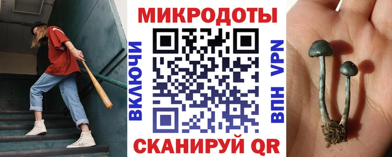 Галлюциногенные грибы MAGIC MUSHROOMS kraken сайт Макаров
